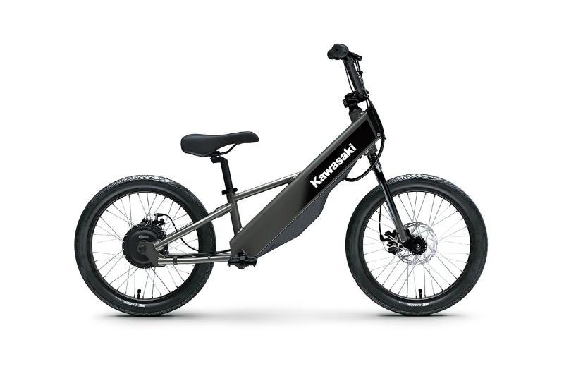2025 Kawasaki ELEKTRODE 20FS