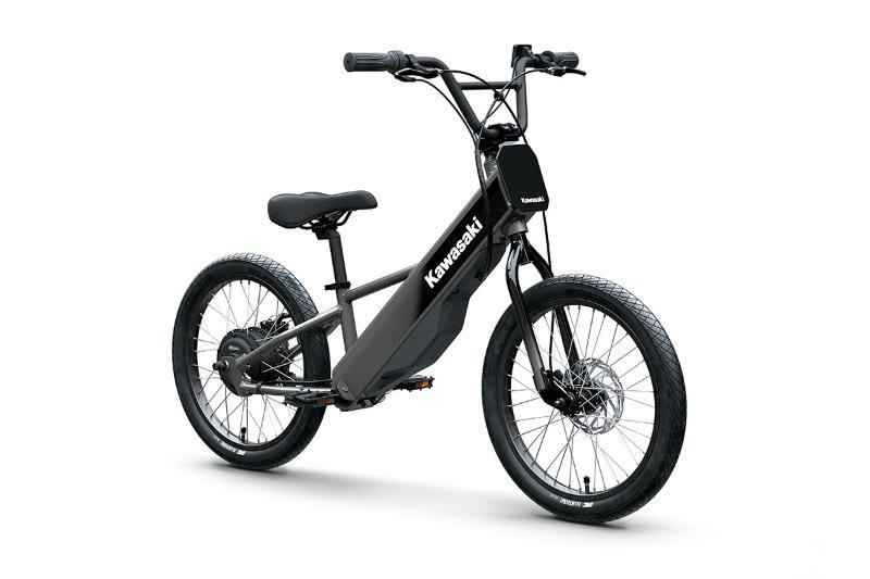 2025 Kawasaki ELEKTRODE 20FS — photo 2