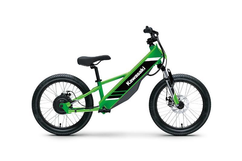 2025 Kawasaki ELEKTRODE 20