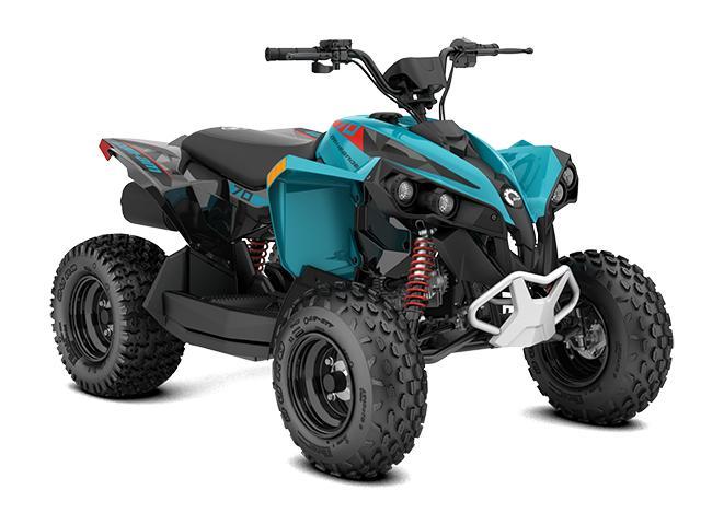 Renegade EFI